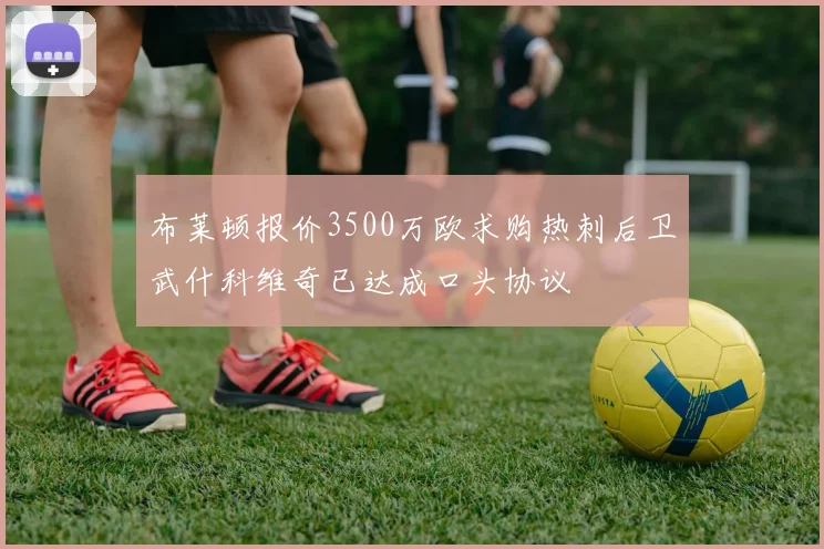 布莱顿报价3500万欧求购热刺后卫武什科维奇已达成口头协议