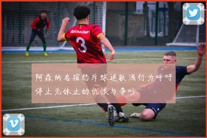阿森纳名宿怒斥球迷肤浅行为呼吁停止无休止的仇恨与争吵